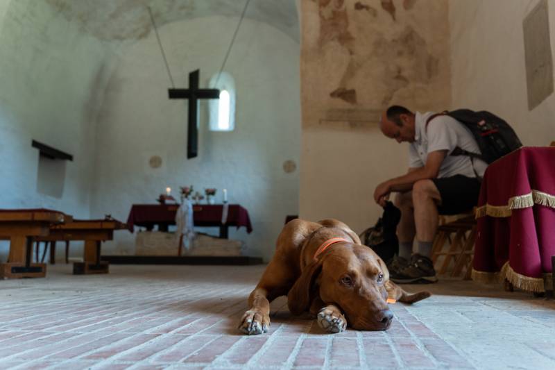 2025_06_19_gyalogos zar_05.jpg